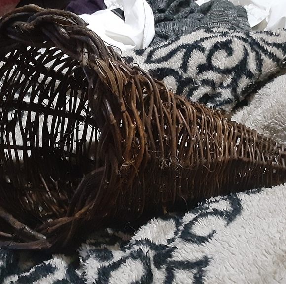 Cornucopia - Picture 2 of 2